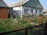 svishni-