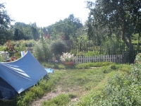 svishni-