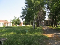 svishni-