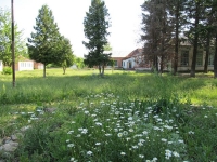 svishni-