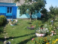 svishni-