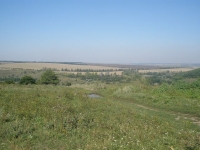 svishni-