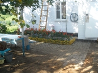 svishni-