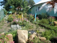 svishni-