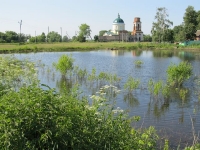 svishni-